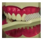 toothbrush Irvine